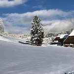 Wohlfuehlpension Kreischberg Inklusive Muraugaestecard 3*