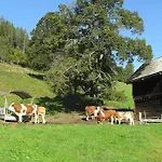 Wohlfuehlpension Kreischberg Inklusive Muraugaestecard Nocleg ze śniadaniem Sankt Georgen ob Murau