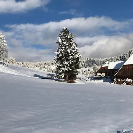 Wohlfuehl-Pension Kreischberg 3*