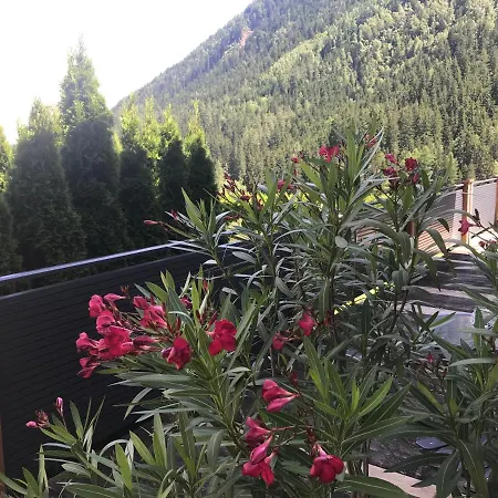 Wohlfuehl-pension Kreischberg By Martina 穆劳附近圣格奥尔根