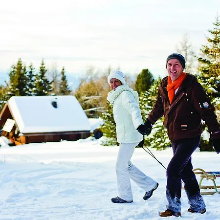 Wohlfuehl-pension Kreischberg By Martina