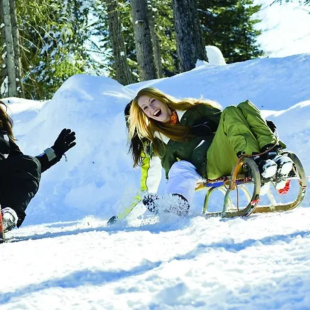 לינה וארוחת בוקר Wohlfuehl-pension Kreischberg By Martina 3*