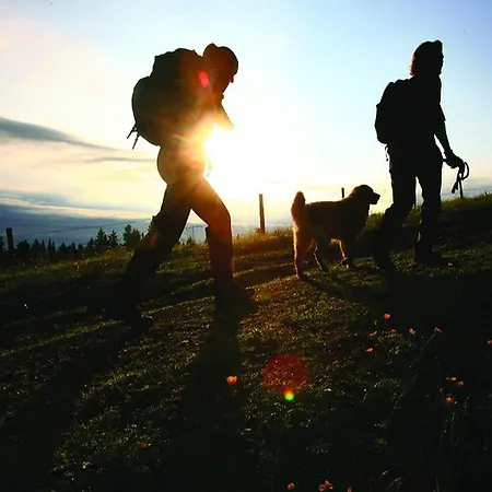 Wohlfuehl-pension Kreischberg By Martina 3* Sankt Georgen ob Murau