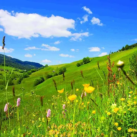 Wohlfuehl-pension Kreischberg By Martina סנט גאורגן אוב מוראו