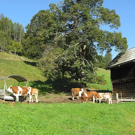 Wohlfuehl-pension Kreischberg By Martina לינה וארוחת בוקר סנט גאורגן אוב מוראו