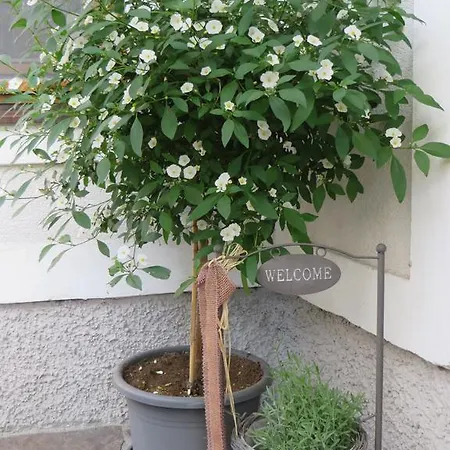 Wohlfuehl-Pension Kreischberg B&B