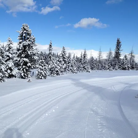 לינה וארוחת בוקר Wohlfuehl-pension Kreischberg By Martina סנט גאורגן אוב מוראו
