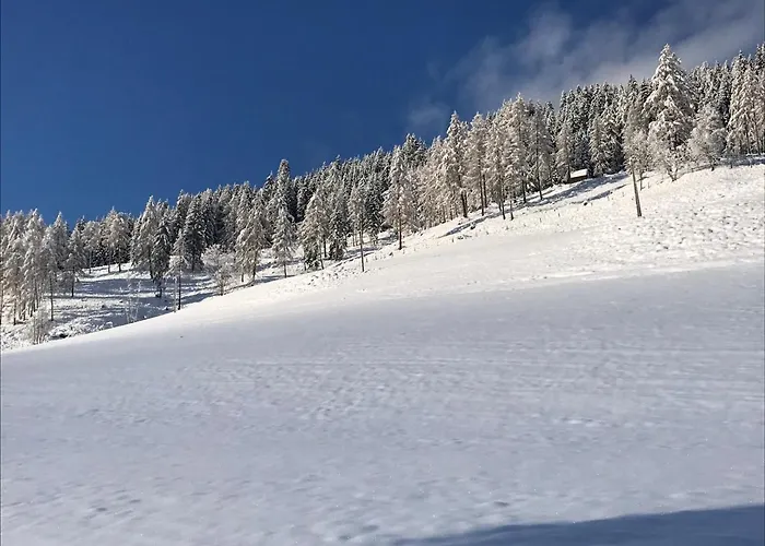 Bed & Breakfast Wohlfuehlpension Kreischberg Inklusive Muraugaestecard Sankt Georgen ob Murau