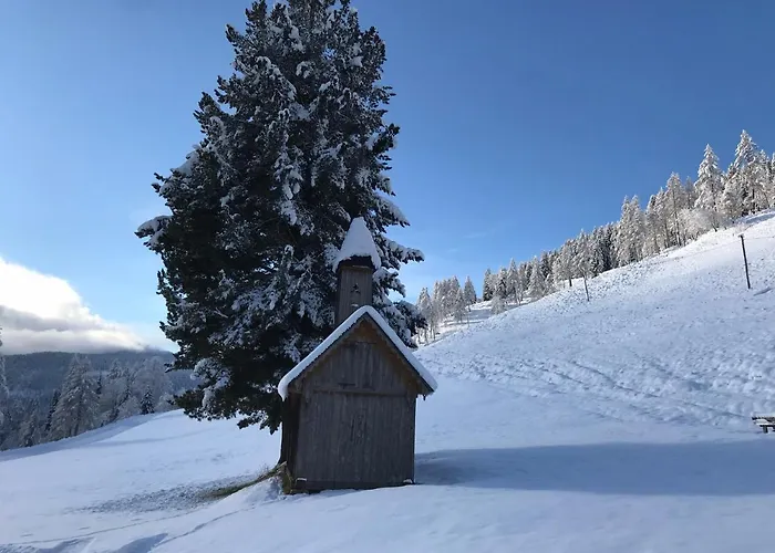 Wohlfuehl-pension Kreischberg By Martina 3* 穆劳附近圣格奥尔根