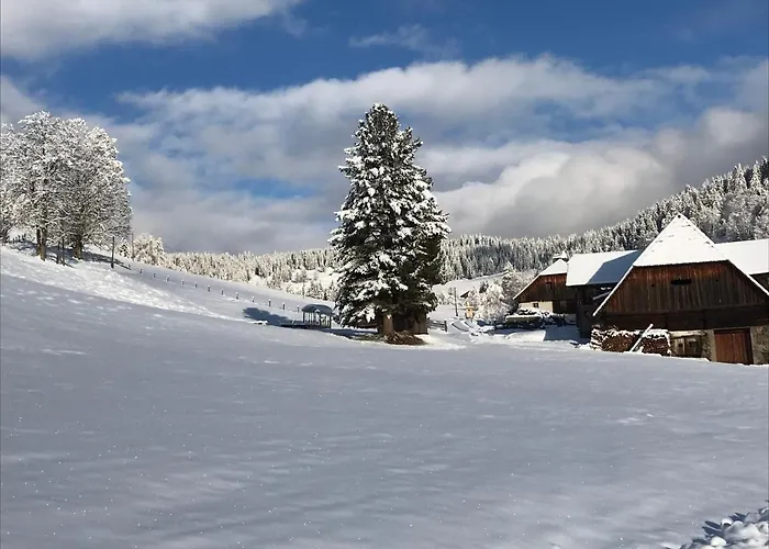 Wohlfuehlpension Kreischberg Inklusive Muraugaestecard 3*