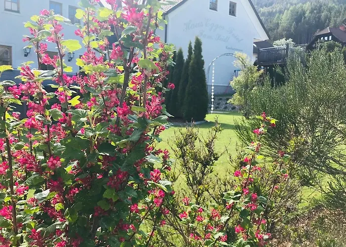 住宿加早餐酒店 Wohlfuehl-pension Kreischberg By Martina