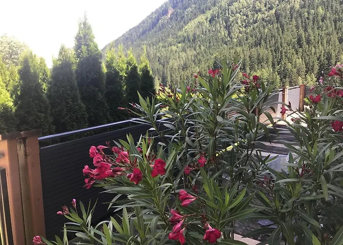 Wohlfuehl-pension Kreischberg By Martina Sankt Georgen ob Murau