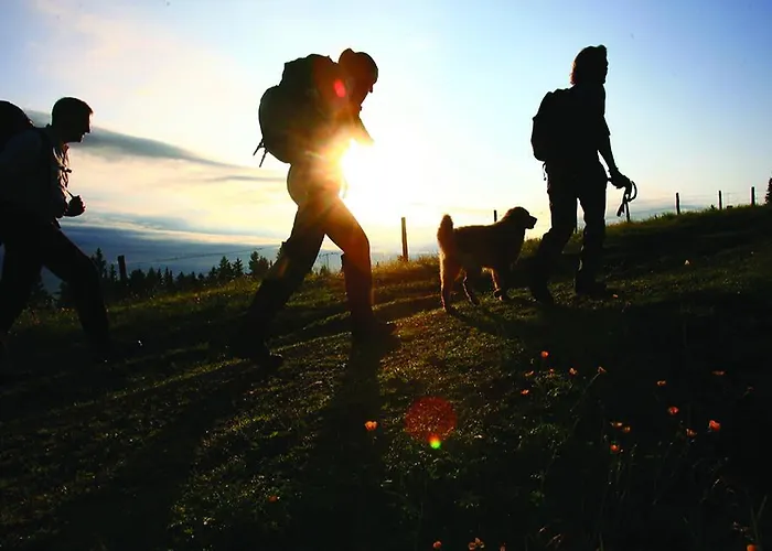 Wohlfühl-pension Kreischberg By Martina 3* Sankt Georgen ob Murau