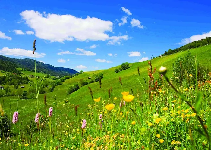 Wohlfühl-pension Kreischberg By Martina Sankt Georgen ob Murau