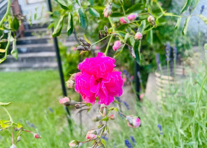 Wohlfuehl-pension Kreischberg By Martina 3* Sankt Georgen ob Murau