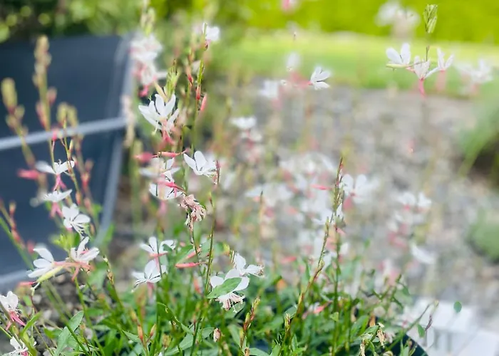 Wohlfühl-pension Kreischberg By Martina