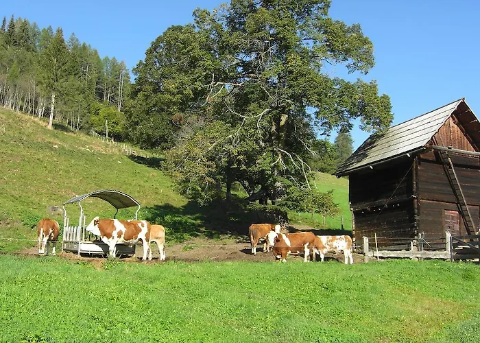 Wohlfuehl-pension Kreischberg By Martina Bed & Breakfast Sankt Georgen ob Murau