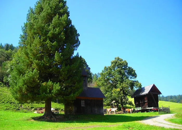 Wohlfuehl-pension Kreischberg By Martina Sankt Georgen ob Murau