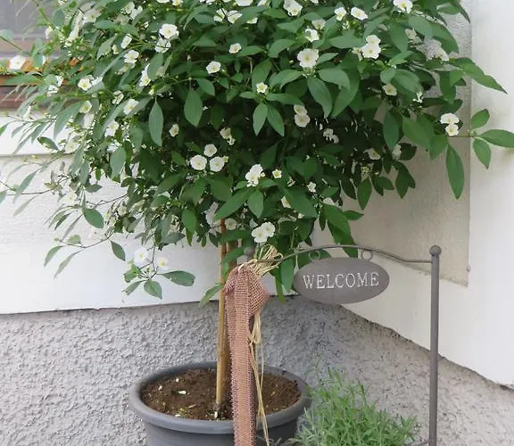 Wohlfuehl-pension Kreischberg By Martina 住宿加早餐酒店