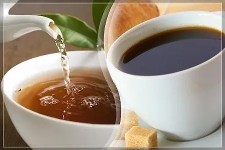 Bed & Breakfast Wohlfuehlpension Kreischberg Inklusive Muraugaestecard Sankt Georgen ob Murau