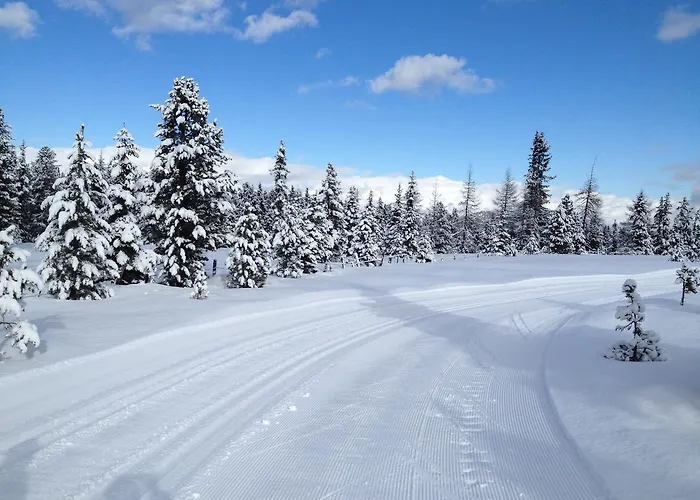 Bed and breakfast Wohlfühl-pension Kreischberg By Martina Sankt Georgen ob Murau